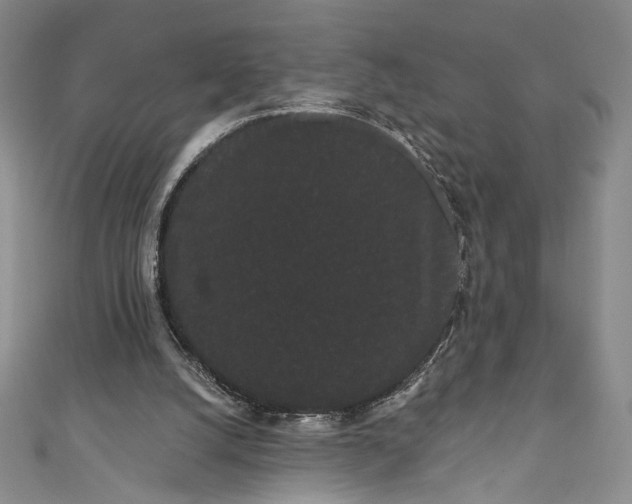 X0000111460056200907271259