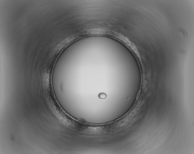 X0000111460057200907271259