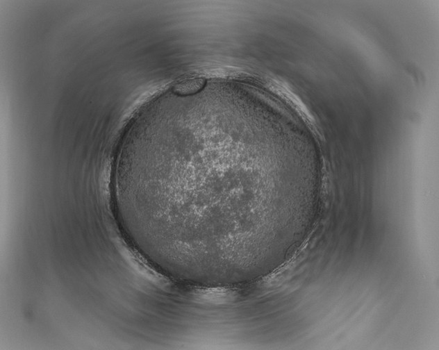 X0000111460058200907271259