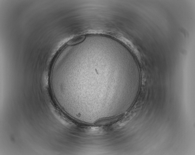 X0000111460060200907271259