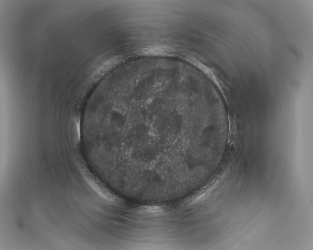 X0000111460061200907271259
