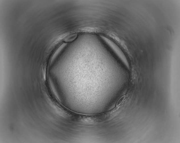 X0000111460062200907271259