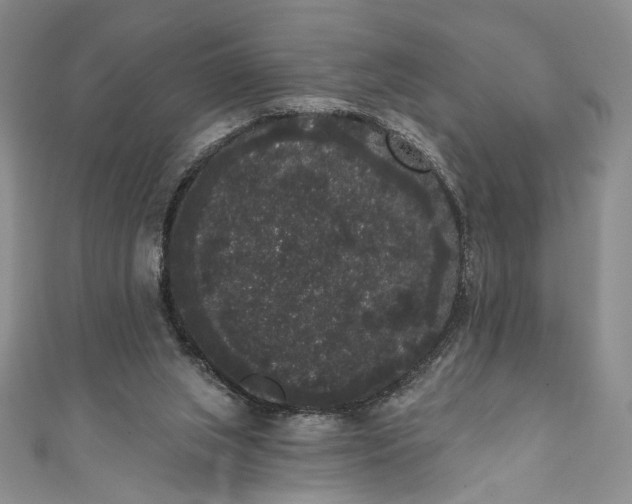 X0000111460063200907271259