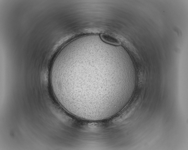 X0000111460064200907271259