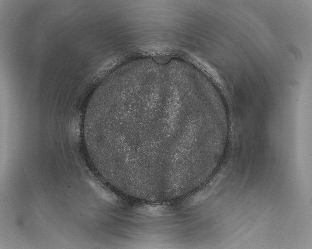 X0000111460065200907271259
