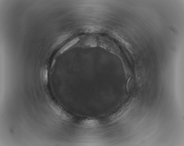 X0000111460067200907271259