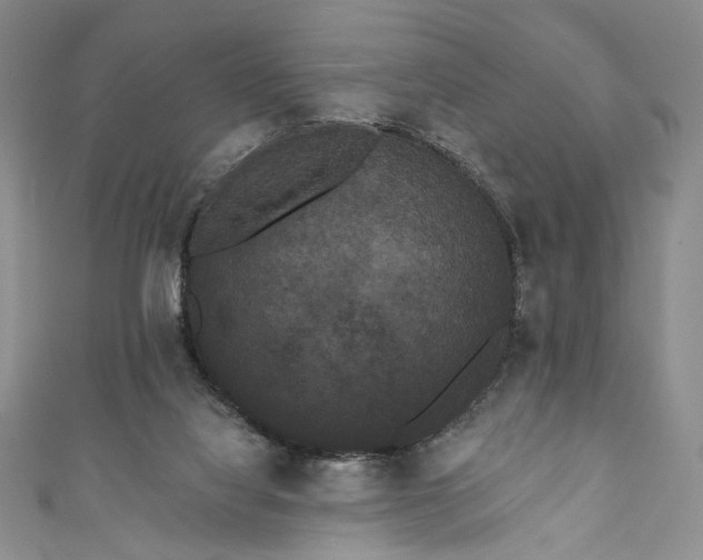 X0000111460068200907271259