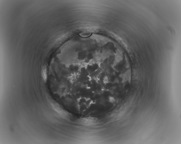 X0000111460069200907271259