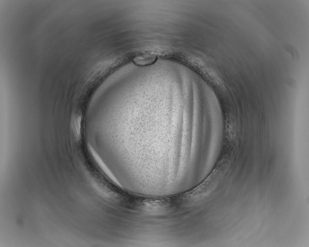 X0000111460070200907271259