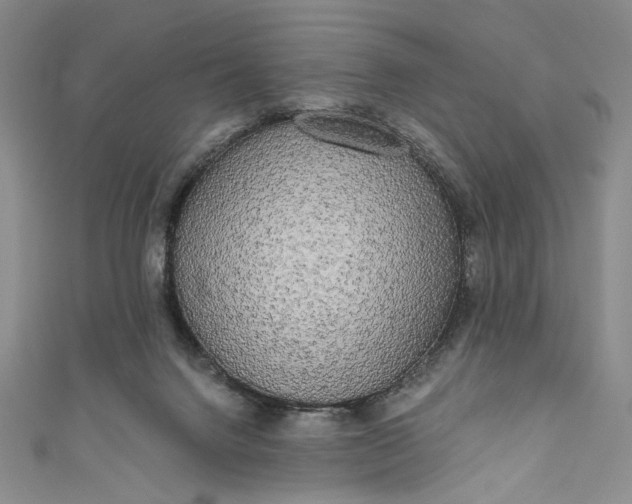 X0000111460072200907271259