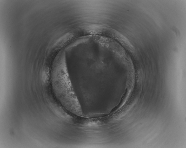 X0000111460073200907271259