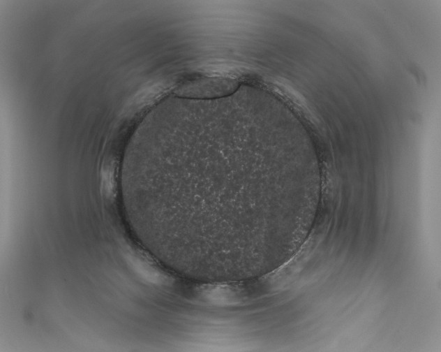 X0000111460074200907271259