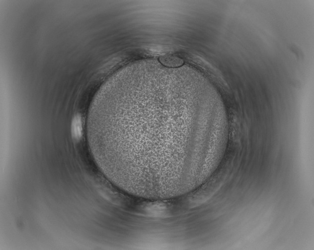 X0000111460075200907271259