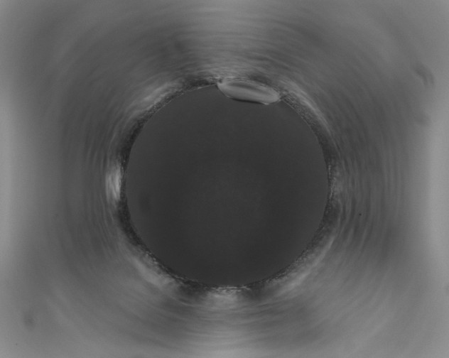 X0000111460076200907271300