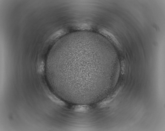X0000111460077200907271300
