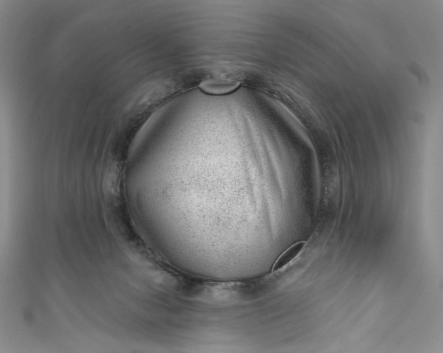 X0000111460078200907271300