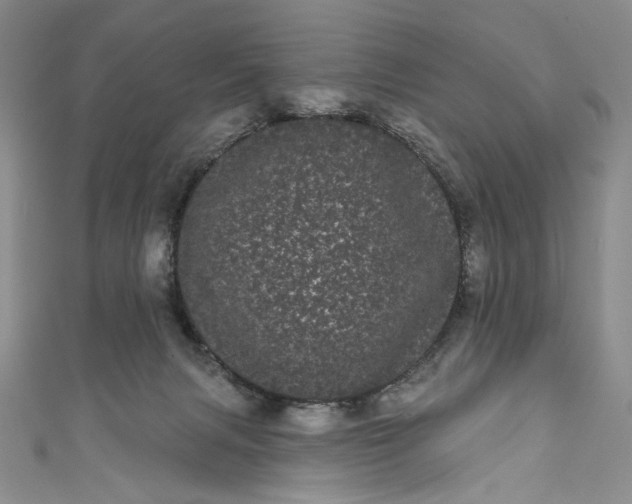 X0000111460079200907271300
