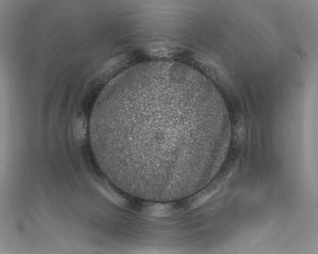 X0000111460081200907271300