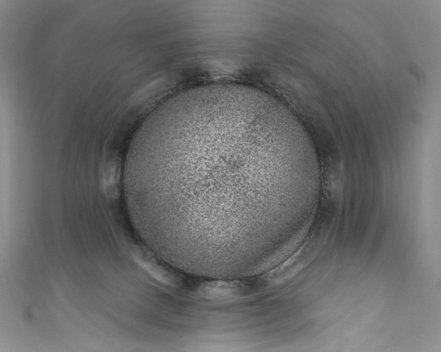 X0000111460082200907271300