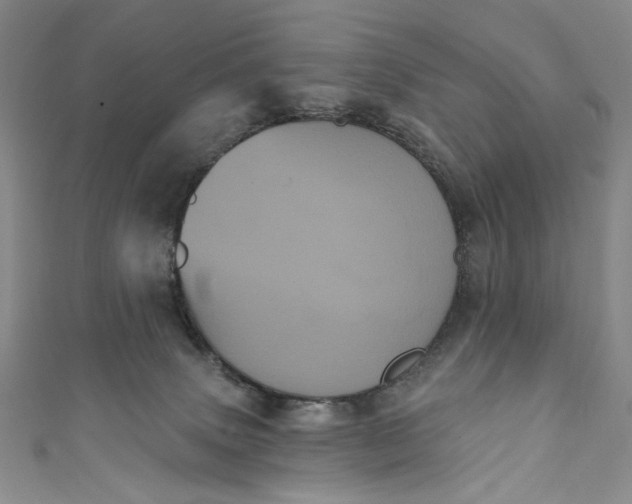 X0000111460083200907271300