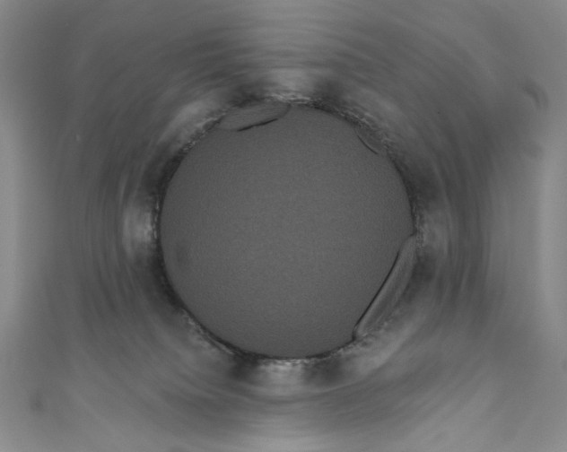 X0000111460084200907271300
