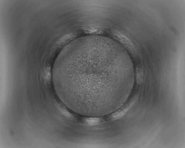 X0000111460085200907271300