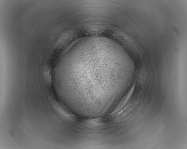 X0000111460086200907271300
