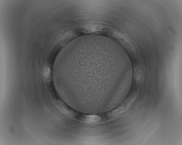 X0000111460087200907271300