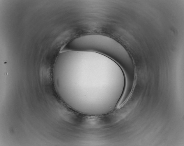 X0000111460088200907271300