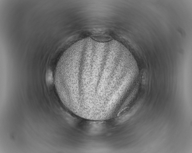 X0000111460089200907271300