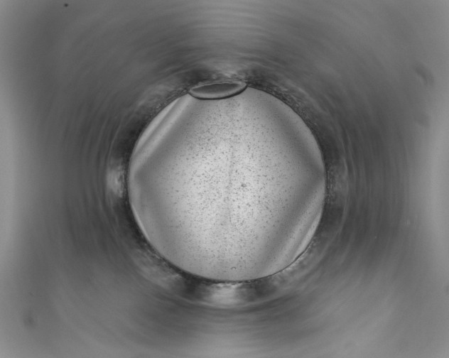 X0000111460090200907271300