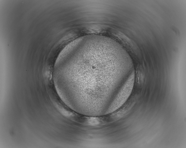 X0000111460091200907271300