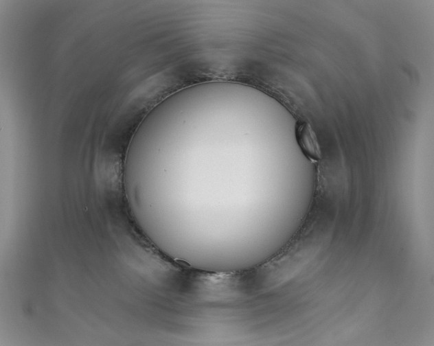 X0000111460092200907271300