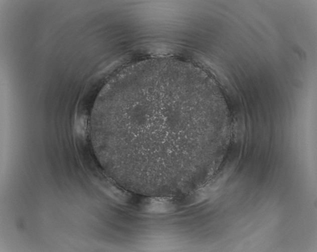 X0000111460093200907271300