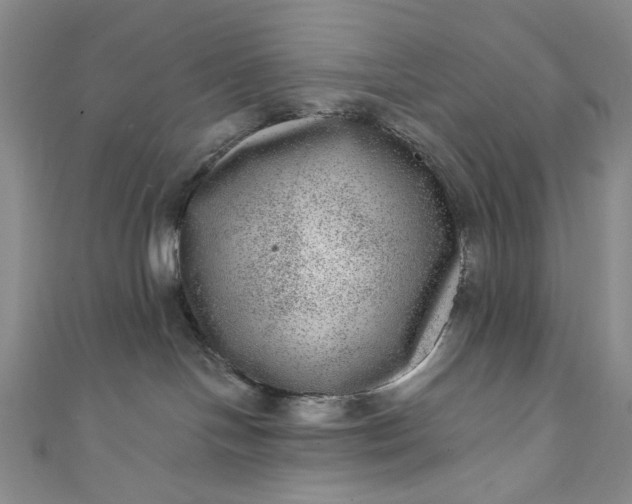 X0000111460094200907271300