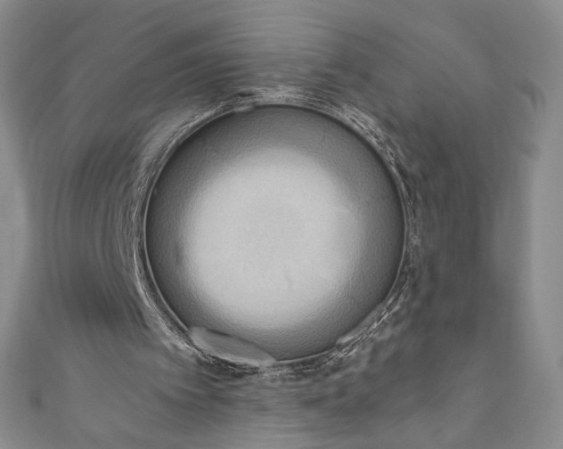 X0000111460097200907271259
