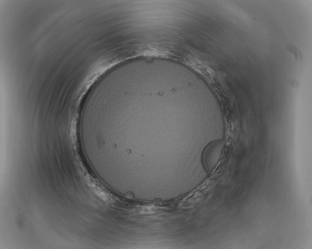 X0000111460098200907271259