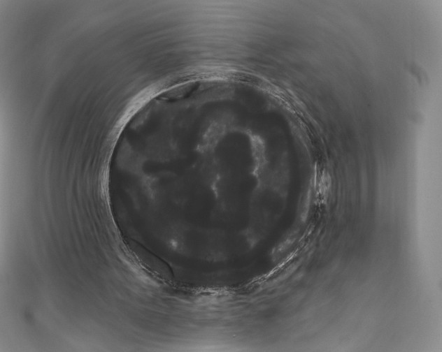 X0000111460099200907271259