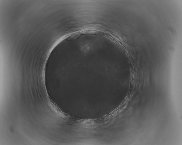 X0000111460100200907271259