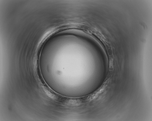 X0000111460101200907271259