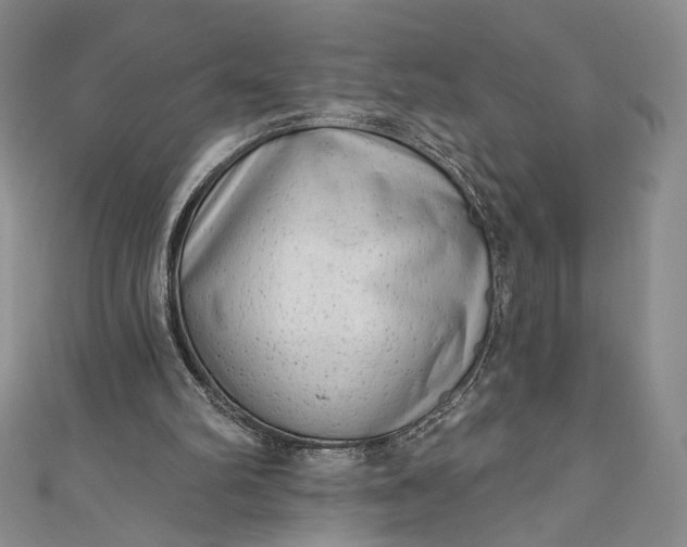 X0000111460102200907271259
