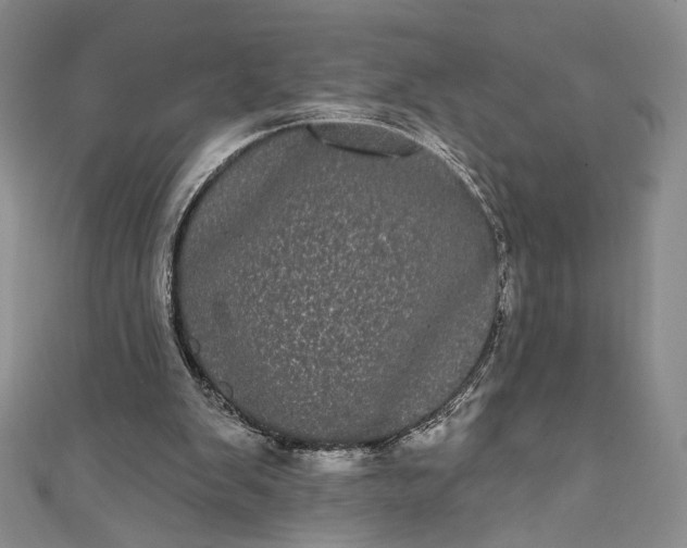 X0000111460103200907271259