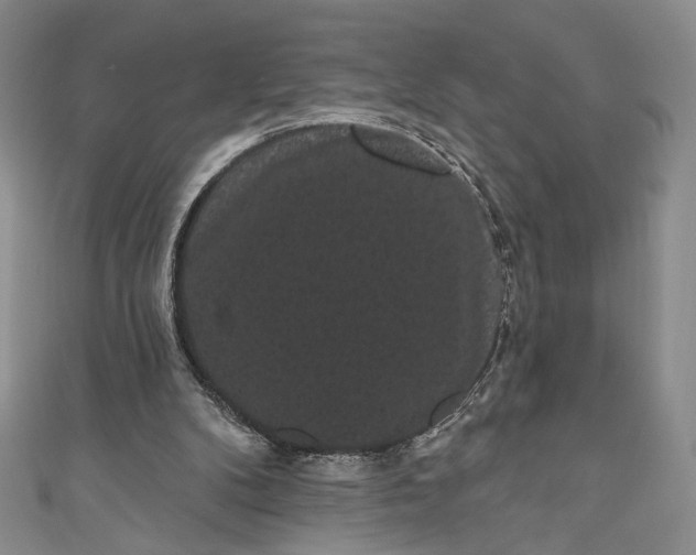 X0000111460104200907271259