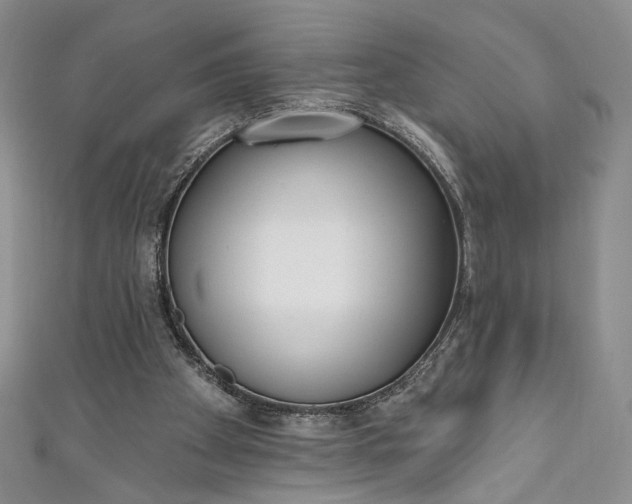 X0000111460105200907271259