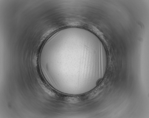X0000111460106200907271259