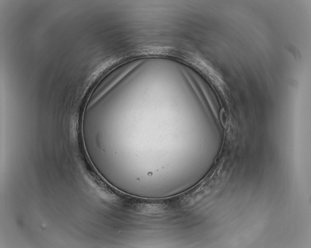 X0000111460107200907271259