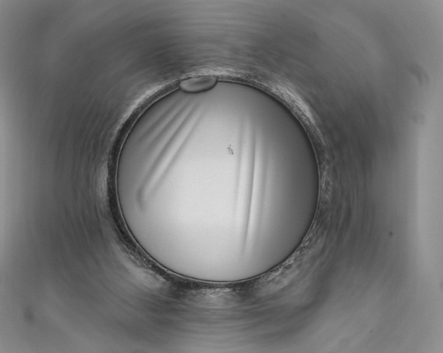 X0000111460108200907271259