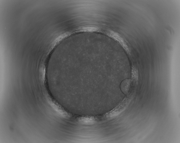 X0000111460110200907271259