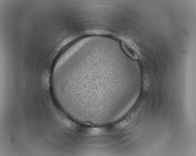 X0000111460111200907271259