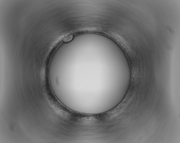 X0000111460112200907271259